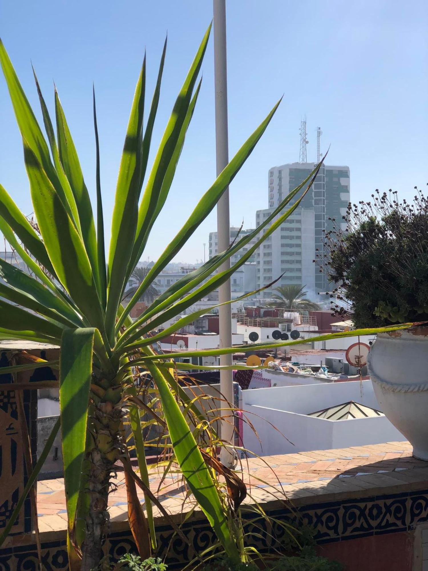 Riad Razoli Sidi Fateh Rabat Exterior photo